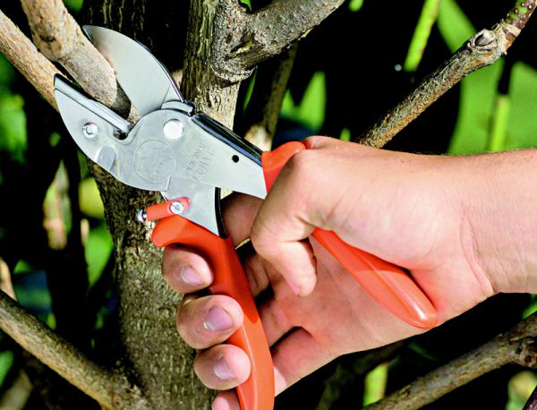 Löwe 1.107 Amboss-Schere mit ergonomischen Griffen