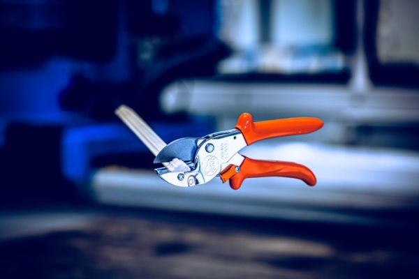 Löwe 1.105 Amboss-Schere