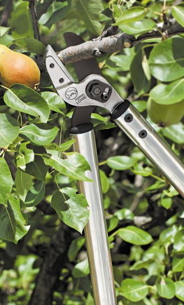 Löwe 20.080 Amboss-Astschere Standard Länge: 80cm