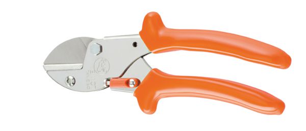 Löwe 5.107 kleine Amboss-Schere