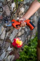 Schere Kantia E-22 TR  TOP Maschine bewehrt aus Obst- und Weinbau !!! Schere Kantia E-22 TR  TOP Maschine bewehrt aus Obst- und Weinbau !!!