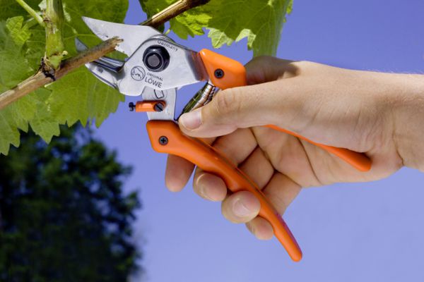 Löwe 7.107 Amboss-Schere mit kurzem Schneidkopf und gebogener Klinge