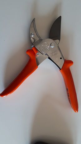 Löwe 10.107 Amboss-Schere