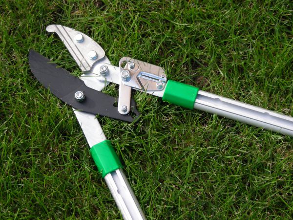 Dragon Teleskopastschere