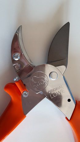 Löwe 10.107 Amboss-Schere