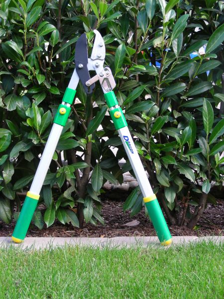 Dragon Teleskopastschere