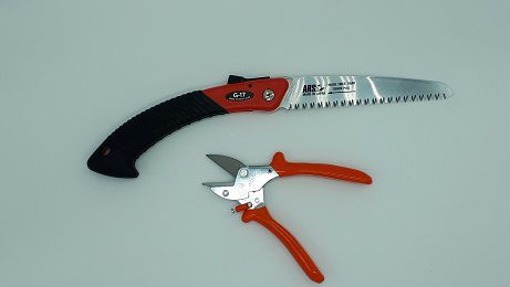 Lady Power (G-17+Löwe 5.127)