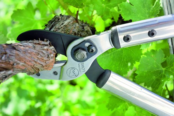 Löwe 20.080 Amboss-Astschere Standard Länge: 80cm