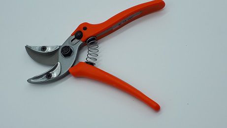 Löwe 16.107 Rosen-Blumen Präsentierschere