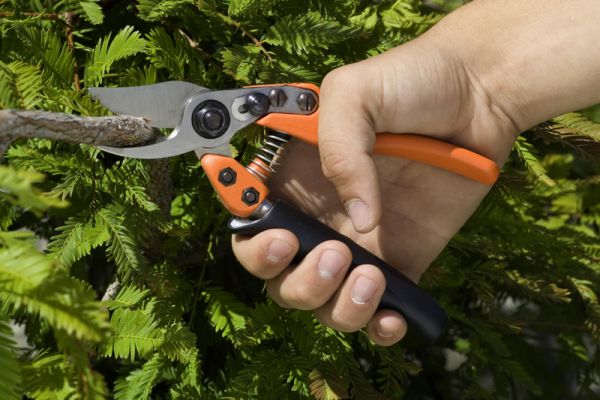 Löwe 11.109 Bypass-Schere mit sehr geringem Gewicht mit Rollgriff