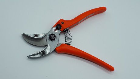 Löwe 16.107 Rosen-Blumen Präsentierschere