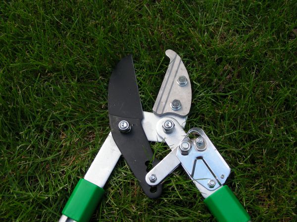 Dragon Teleskopastschere